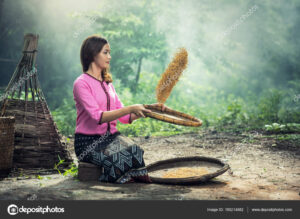 Beautiful girl winnowing rice separate between rice and rice husk