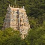 வாராரு வாராரு… அழகர் வாராரு…!