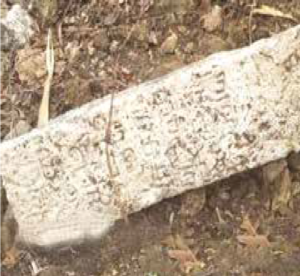 vm448