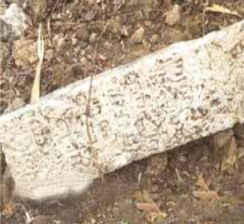 vm448